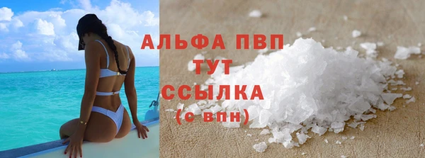шишки Абаза