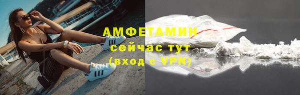 шишки Абаза