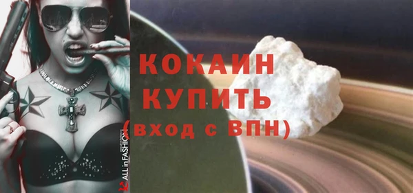 шишки Абаза